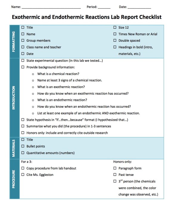 Lab Report Checklist: Introduction